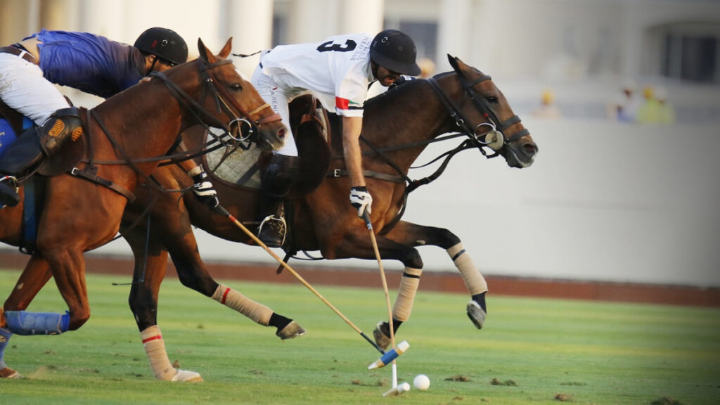 The Polo Masters Cup