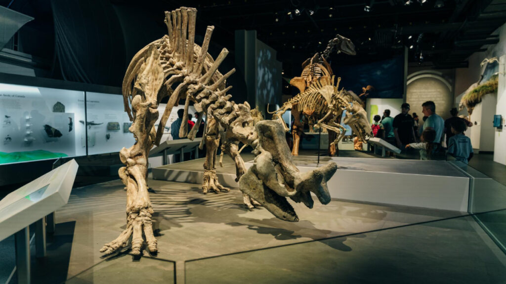 Museums