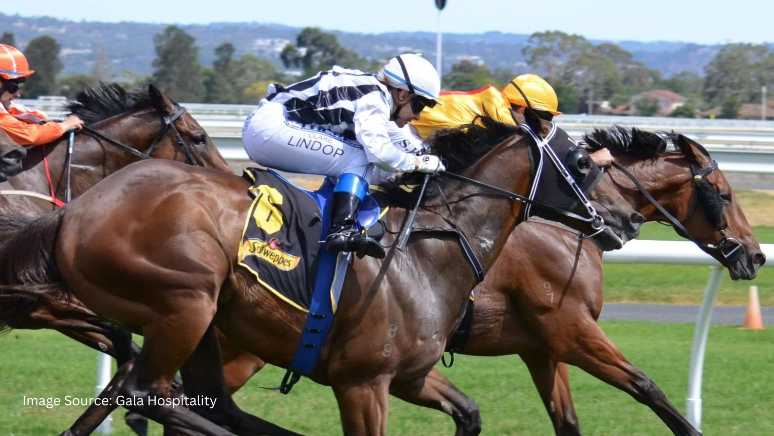 You are currently viewing Cheltenham Festival: Why Arrival Matters As Much As The Finish Line