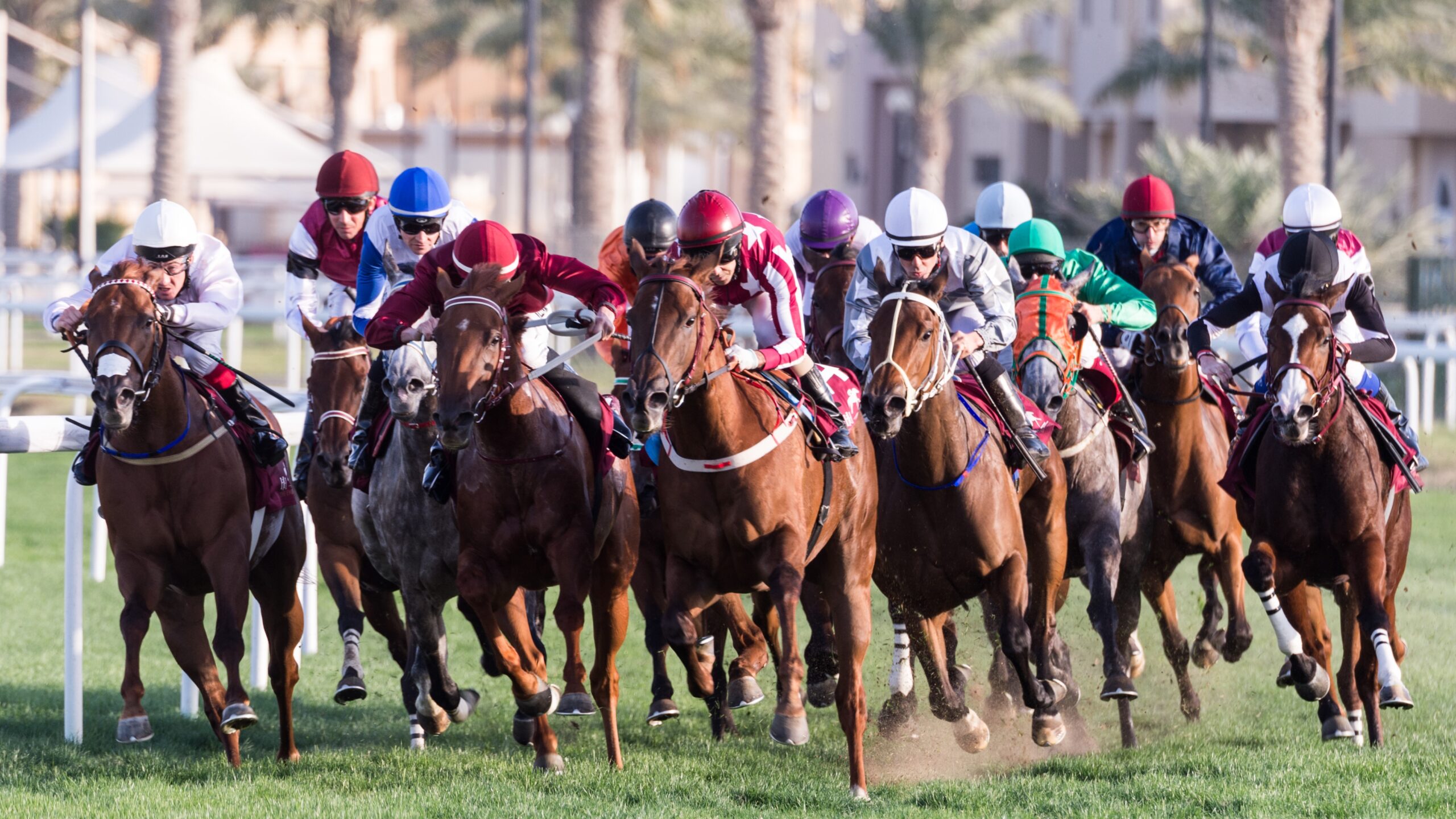 Cheltenham Festival