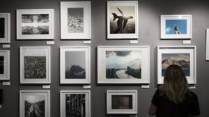Read more about the article Paris Photo 2026: Premium Chauffeur Services For Art Collectors And VIPs